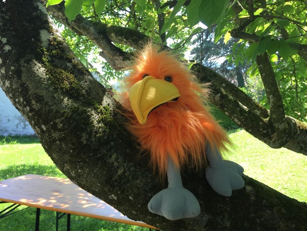 Kiki Frühlingstage Kiki Frühlingstage