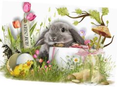 Gemeindeverwaltung, Werkhof und Kadaversammelstelle